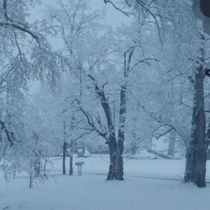 Meet your Posher, Bonnie